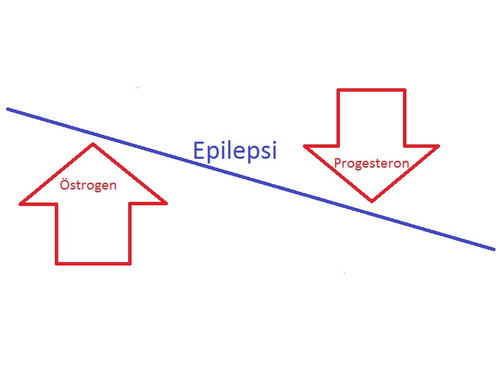 Epilepsi Och Hormonerna Som Gasar Och Bromsar - BioInd